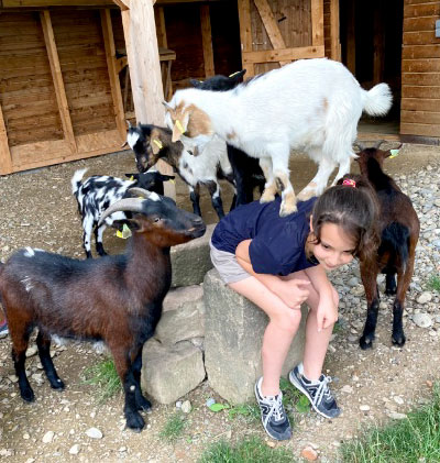 chevre qui monte sur un enfant